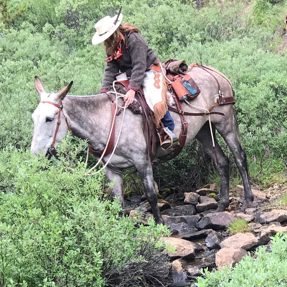 Meet your Posher, Shelley